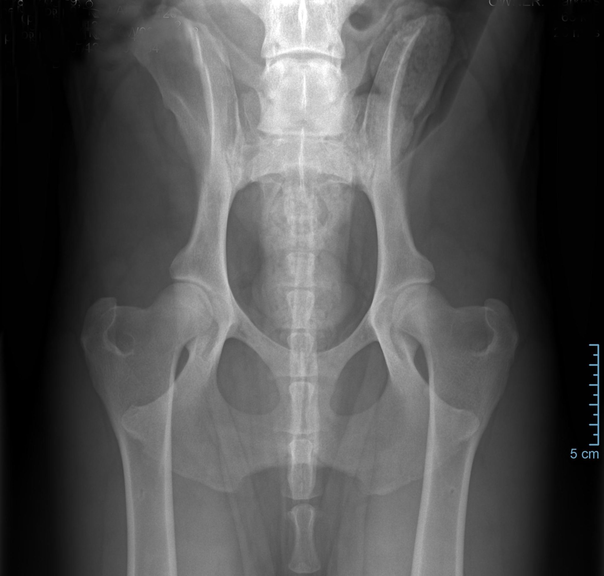 Prayers For Health Results