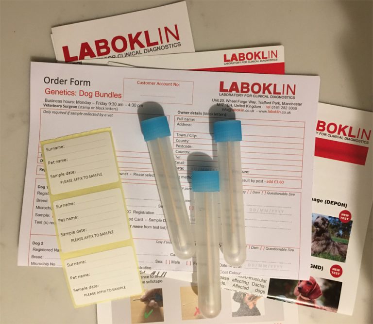 Laboklin Genetic Testing Form Breed Characteristics - Giant Schnauzer Club